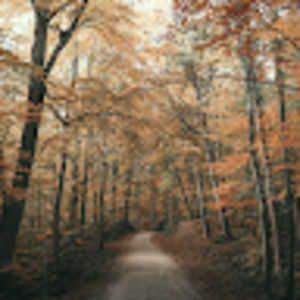 Meet your Posher, Edward